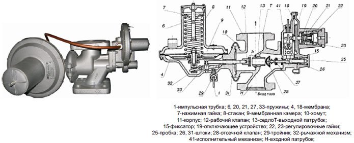 пзк рднк пзк рднк